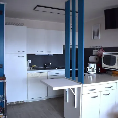 Spacieux 4 Pieces En Centre-ville Avec Cuisine Equipee Et Confortables - Fr-1-580-28 Apartment Font-Romeu-Odeillo-Via